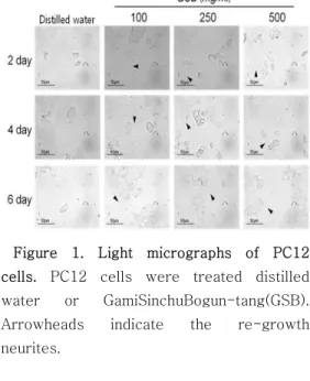 Figure  1.  Light  micrographs  of  PC12  cells.  PC12  cells  were  treated  distilled  water  or  GamiSinchuBogun-tang(GSB)
