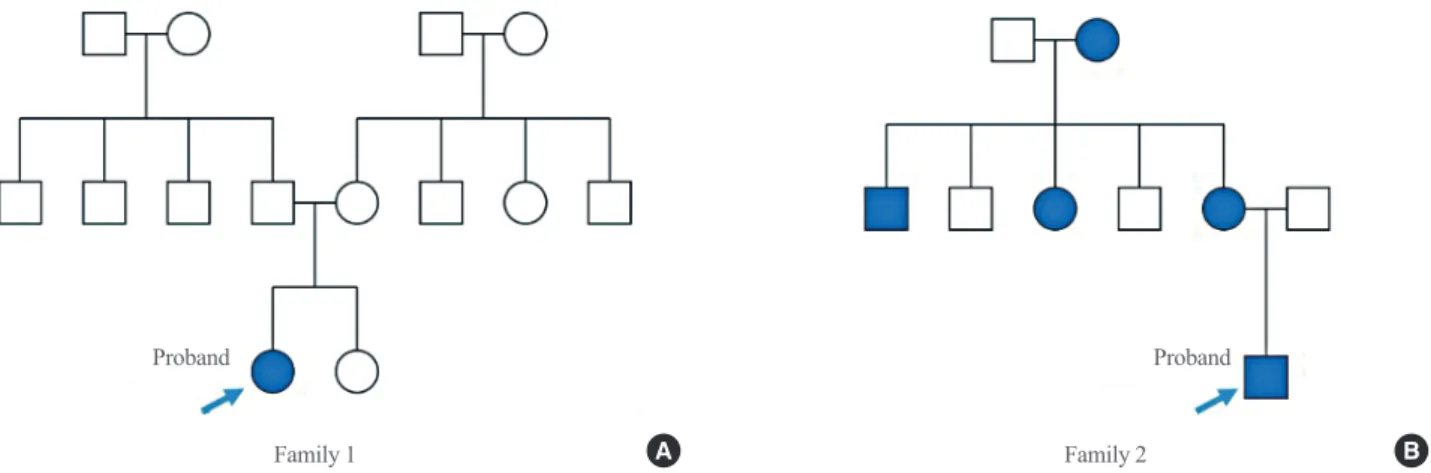Fig. 1. (A, B) Pedigrees of families harboring glucokinase (GCK) missense variants. Filled and empty symbols represent diabetic and non- non-diabetic individuals, respectively