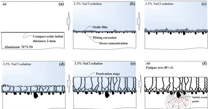 Fig. 9 Schematic illustration for the modeling of oxide film formation under corrosion environment