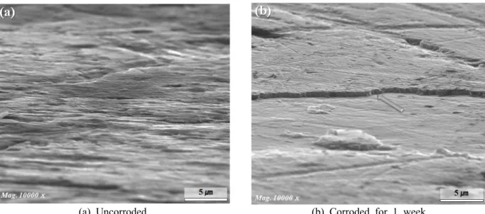 Fig. 13 SEM images of test specimen surface, an arrow indicates the oxide film: (a) uncorroded surface;