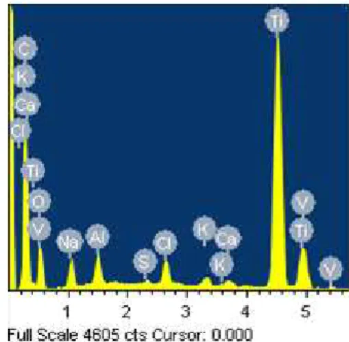 Fig.  3(a)  A  photo-mosaic  of  optical  microscope;  multi- multi-fatigue cracks coalesced each other 