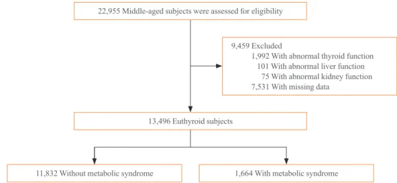 Fig. 1. Flow chart of the study population.