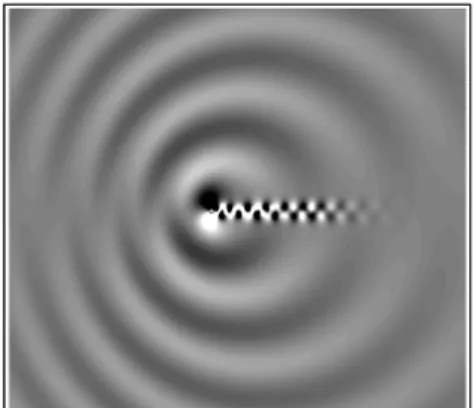 Fig. 1 Instantaneous acoustic field(DaNS).
