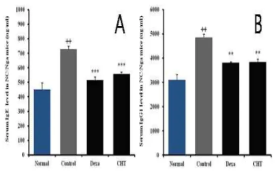 Fig.  5.  Effects  of  CHT  on  the  level  of  IgE 