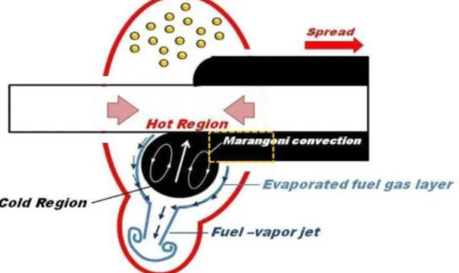 Fig. 5 Schematic of flame by fuel-vapor jet 현상을 포함하고 있기 때문으로 판단된다 . 이러 한 전선화염에서의 연료 증발기체 분사의 원인을 분석하기 위해 Fig