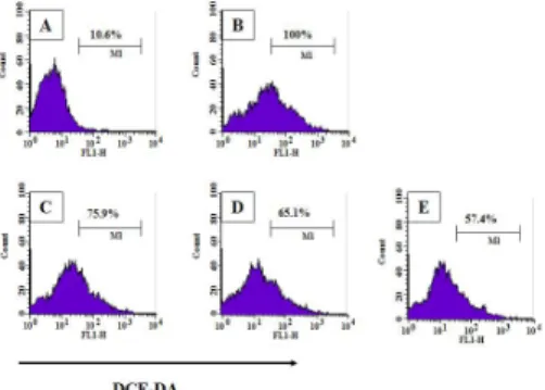 Fig.  3.  Inhibitor  effects  of  KMSMT  on  the  ROS production  in Raw 264.7 cells. The  Raw  264.7  cells  were  stimulated  with  LPS  and  treated  with  medium  (Control,  B),  KMSMT  (50,  100,  200  ㎍/㎖,  C-E)  for  24  hours
