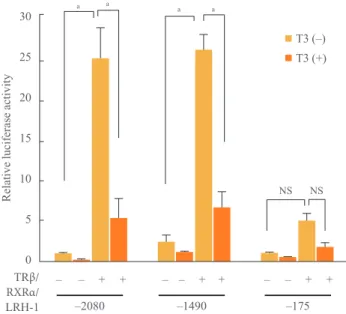 Fig. 3. Repression of expression from the 5ʹ deletion small het- het-erodimer partner (SHP) promoter by the thyroid hormone