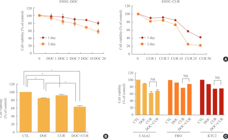 Fig. 1. Effects of docetaxel and/or curcumin treatment on the proliferation of 8505C, CAL62, FRO, and KTC2 cells