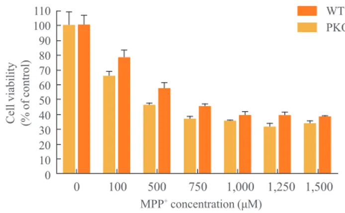 Fig. 2. Cell viability analysis after treatment with 1-methyl- 1-methyl-4-phenylpyridinium (MPP + ) by MTT assay