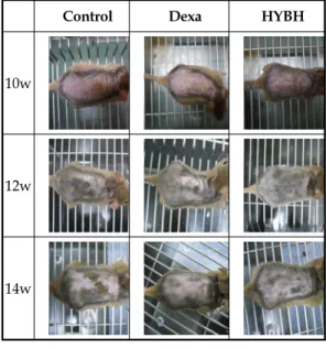 Fig.  1.  Comparison  of  skin  manifestation  in  NC/Nga  mice  between  control  and 
