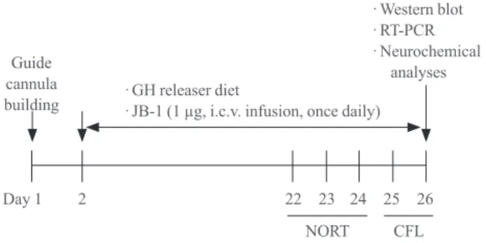 Fig. 1. Experimental schedule for evaluating the effect of a  growth hormone (GH)-releaser diet on the cognitive dysfunction  in klotho mutant mice
