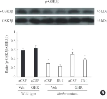 Fig. 3. Effect of JB-1, an insulin-like growth factor-1 (IGF-1) re- re-ceptor antagonist, on the growth hormone (GH)-releaser  diet-me-diated attenuation of changes in the expression of (A)  phospho-Akt (p-phospho-Akt), (B) phospho-glycogen synthase kinase