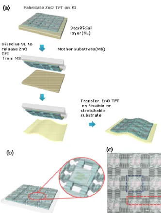 Fig.  1  (a)  Schematic  fabrication  of  stretchable  and  transparent  ZnO  Thin  Film  Transistor  to  wavy  patterns  at  5%  prestrained  rubber  substrate Schematic  of  wavy  pattern