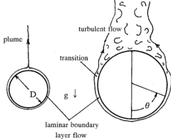 Fig. 1 Natural convection around cylinder (6)