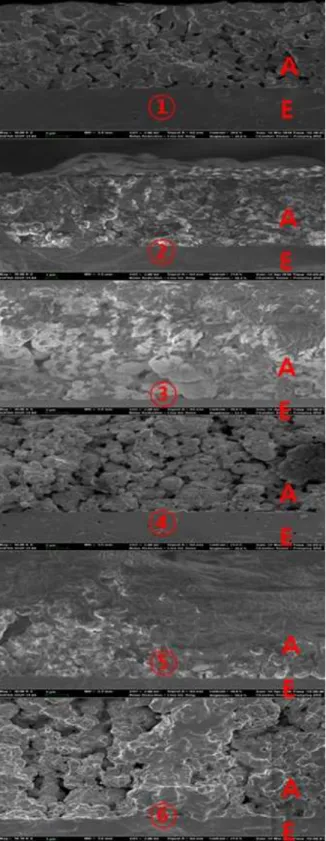Fig.  14  SEM  images  of  anode(①  only  sintering,  ②  sintering+reduction,  ③  sintering+reduction+0.1  A/cm 2   for  3h,  ④  sintering+reduction+0.2  A/cm 2 for 3h,  ⑤  sintering+ reduction+0.3 A/cm 2  for 3h, 