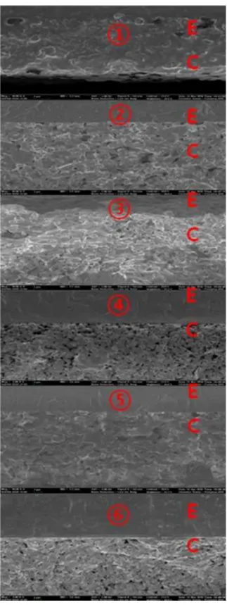 Fig.  15  SEM  images  of  anode( ①   only  sintering,  ② sintering+reduction,  ③   sintering+reduction+0.1  A/cm 2   for  3h,  ④   sintering+reduction+0.2  A/cm 2 for 3h,  ⑤  sintering+ reduction+0.3 A/cm 2  for 3h, 