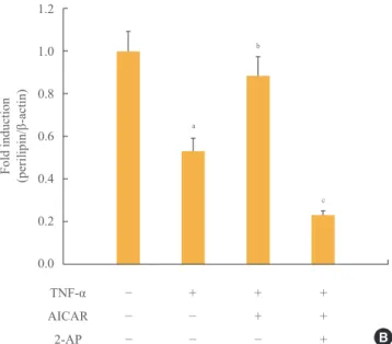 Fig. 4. Antilipolytic effect of AMP-activated protein kinase  (AMPK) is abrogated by protein kinase RNA-like endoplasmic  reticulum kinase (PERK)/eukaryotic initiation factor 2 α (eIF2α)  inhibition