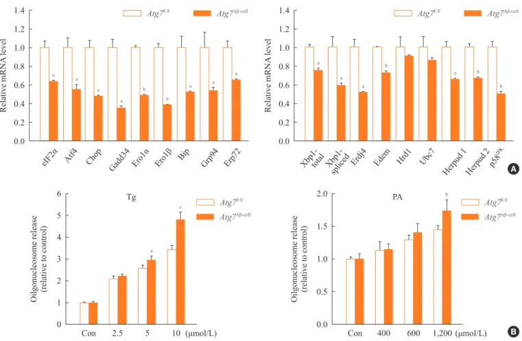 Fig. 2. Expression of unfolded protein response (UPR)-related genes in autophagy-deficient islets