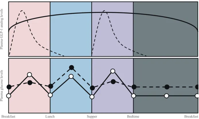 Fig. 2. Schematic of plasma glucagon-like peptide 1 (GLP-1) analog levels and plasma glucose levels with short- versus long (or  prolonged)-acting analogs