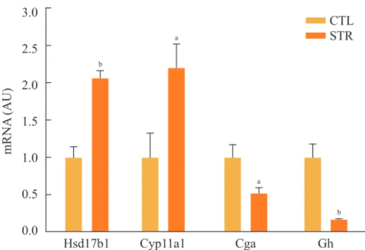 Fig. 2. Reverse transcriptase polymerase chain reaction analysis  of the altered gene expression identified from microarray analysis