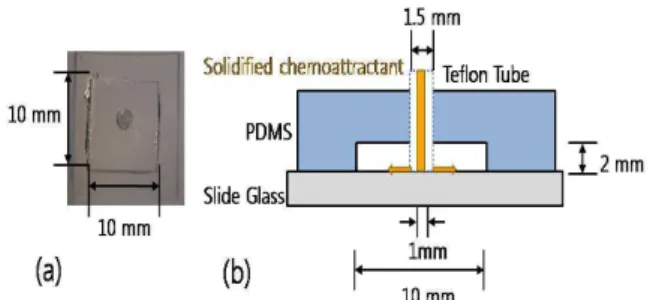 Fig. 3 Well design