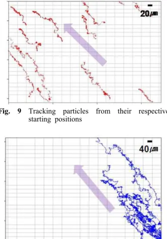 Fig. 9 Tracking particles from their respective starting positions