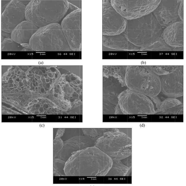 Fig. 7 SEM photographs of fracture surface of EPP foam ( (e) were described in Table