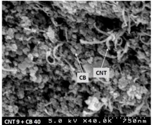Fig. 14 SEM photograph of the composite after TGA 따른 Tg 및 LHc 결과를 Fig. 10 에 나타냈다 연신. 율의 증가에 따라 CNT 강화 복합재료의 Tg 는 증 가하였고 , LHc 는 λ =1.5 일 때 최대값을 보였다 이,