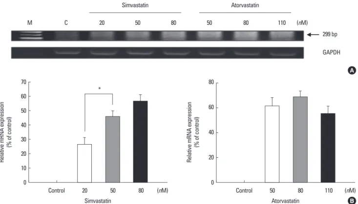 Fig. 1.  Human NIS mRNA expression after treatment of simvastatin and atorvastatin. A