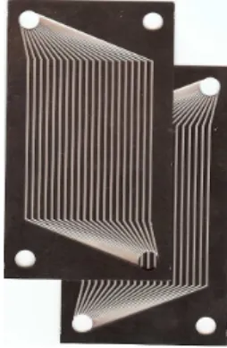 Fig. 1 Photograph of micro-channel plates