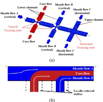 Fig. 1  Schematic  diagram  of  3D  hydrodynamic  focusing  microfluidic  device  (3D-HFMD):  (a)  overall view and (b) vertical view (x-x’) (7)