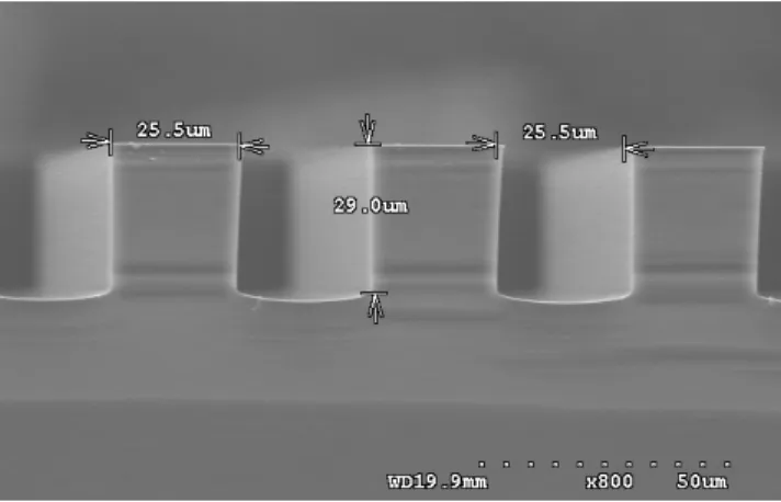 Fig. 7 SEM image of Microstructure 