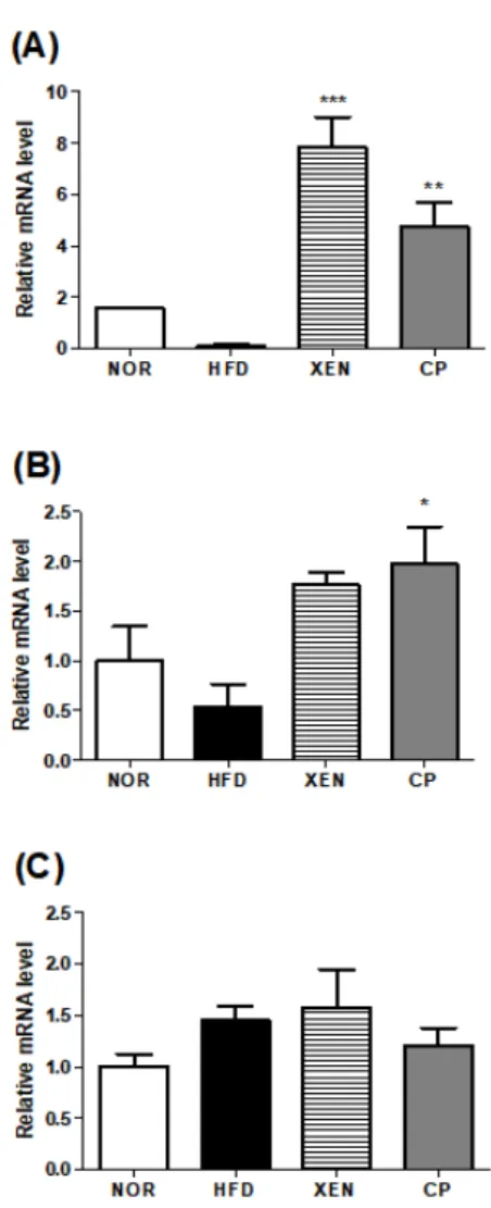 Fig. 4. Effect of CP treatment on gene expression of thermogenic  and  mitochondrial  biogenesis  markers  in  HFD  induced  mouse  model  after  treatment  for  9  weeks