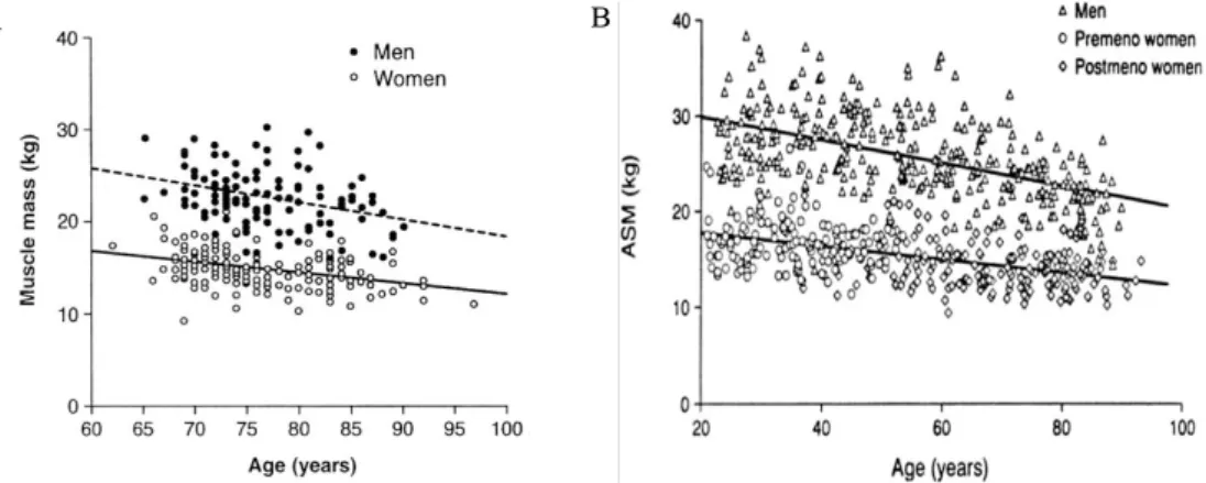 Fig.  4.  A:  Regression  of  muscle  mass  by  age  in  elderly  men  and  women. 