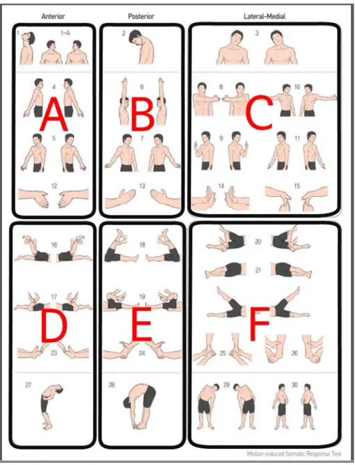 Fig. 1. Blocked image of 12 meridian.2) M-test를 통한 평가 방법(1) M-test의 양성소견 평가 방법 블록화한 경락에 대해서 ‘그 경락에 제한 = 긴장이 있다’고 판단하는 양성 소견은 아래의 두 가지로 분류하였다
