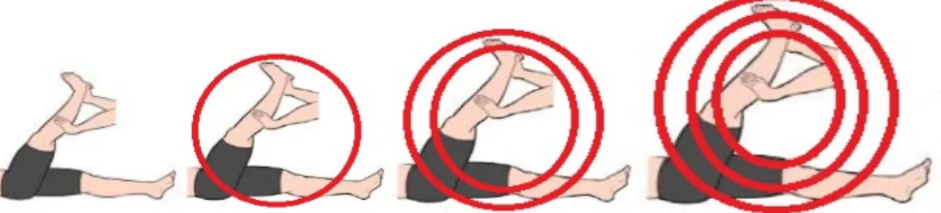 Fig. 2. How to notice pain (1 circle=NRS 3, 2 circles=NRS 6, 3 circles=NRS 9 or more)