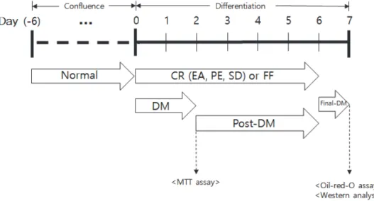 Fig.  2.  Schedule  of  3T3-L1  cell  differentiation  and  essential  oil  treatment