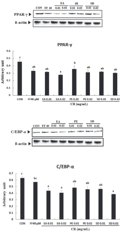 Fig.  8.  Effects  of  essential  oil  from  Cnidii  Rhizoma  (CR)  on  peroxisome  proliferator-activated  receptor-γ (PPAR-γ)  protein  expression  in  3T3-L1  adipocytes