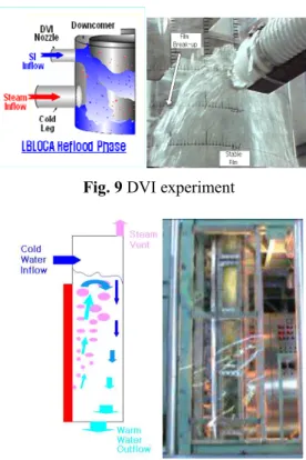 Fig. 10 T-H experiment in lower downcomer 