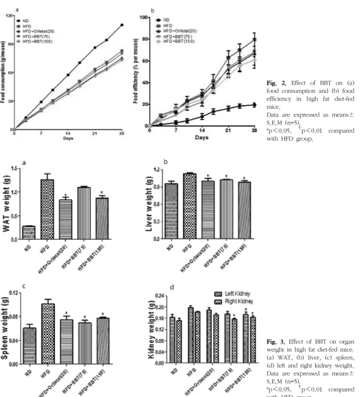 Fig.  2.  Effect  of  BBT  on  (a)  food  consumption  and  (b)  food  efficiency  in  high  fat  diet-fed  mice