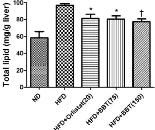 Fig.  5.  Effect  of  BBT    on    hepatic  triglyceride  content  in  liver of  high  fat  diet-fed  mice