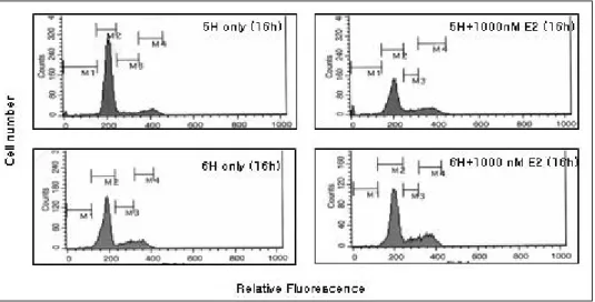 Fig.  2.  Effect  of  high  concentration  of  estradiol  on  cell  cycle  distribution  of  FRTL-5  cells