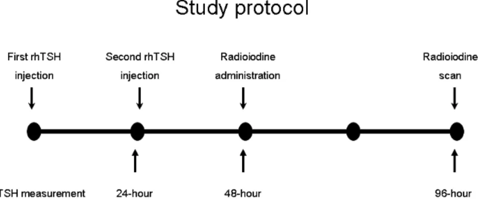 Fig.  2.  Changes  in  serum  TSH  levels  at  24-hour,  48-hour  and  96-hour  after  the  first  rhTSH  administration