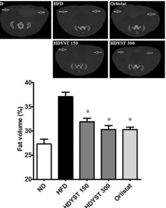 Fig.  15.  Effect  of  HDYST  on  fat  mass  in  high  fat  diet-fed  mice. 