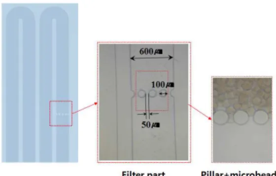 Fig. 2 Pillars and microbeads in PDMS channel for DNA filtration