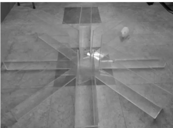 Fig.  3.  Hole  board  test.