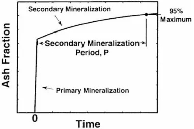 Fig.  7.  Primary  and  secondary  mineralization  phase.  The  secondary  mineralization  period  is  defined  as  the  time  required  for  bone  to  mineralize  from  70%  to  95%  of  the  theoretical  maximum  ash  fraction.