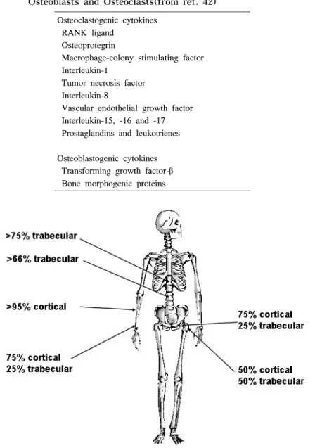Table  9.  Cytokines  produced  in  bone  microenvironment  with  major  effects  on  Osteoblasts  and  Osteoclasts(from  ref