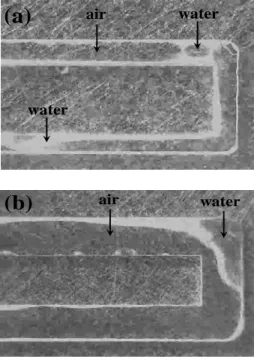 Fig. 5 Visualization of water/air two-phase flow in  Teflon channels: (a) 1 mm and (b) 2 mm width