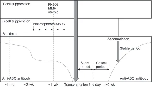 Fig. 1.  Strategy for immunosuppressive  therapy in ABO-incompatible kidney  trans-plantation